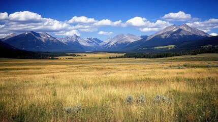 Expansive golden meadow with majestic mountain range under a vibrant blue sky, scattered clouds.