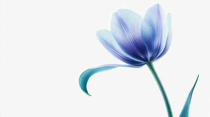 A stylized tulip with deep azure blue petals fading into soft lavender at the tips, a sleek emerald green stem with a glossy finish, and a single curved leaf. Crisp white background emphasizing the tu