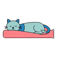 the cat is seleeping on the bed