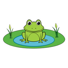green frog on white background