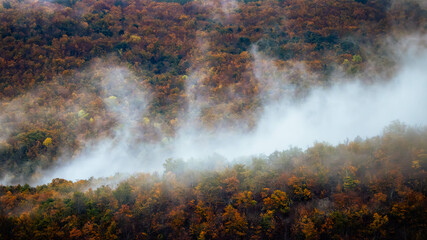 Brumes d'automne