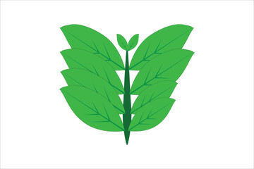 green leaf  vector 