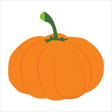 A cartoon orange pumpkin vegetable food item.pumkin vector .