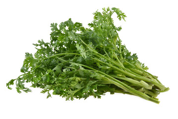 fresh parsley isolated on white background.