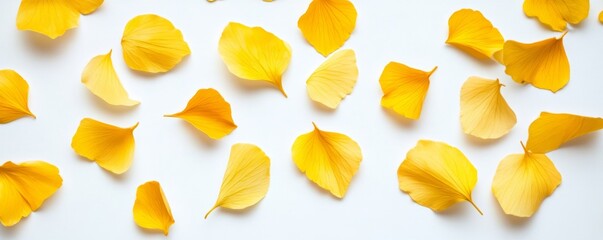 Naklejka premium Yellow flower petals scattered on white background