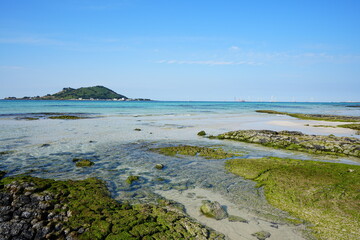 mossy rocks at shoaling beach