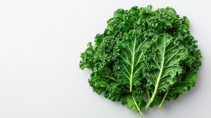 Obraz premium brain-boosting food concept. Fresh kale leaves on a light background.