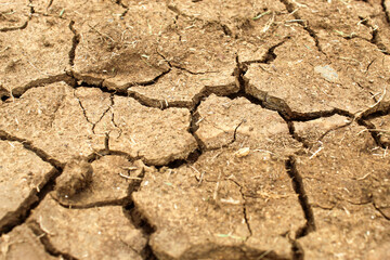 Fototapeta premium Dry soil texture is cracked. cracked pattern on the soil