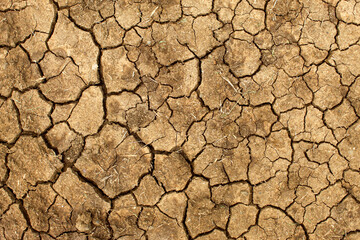 Dry soil texture is cracked. cracked pattern on the soil