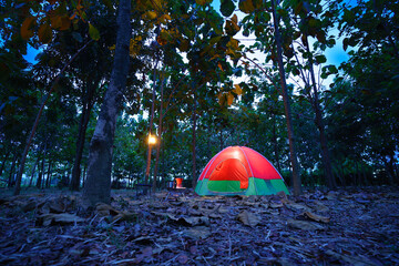 Red camping tent in a big forest at night, the ground is covered with brown fallen leaves and dry teak leaves in the autumn forest