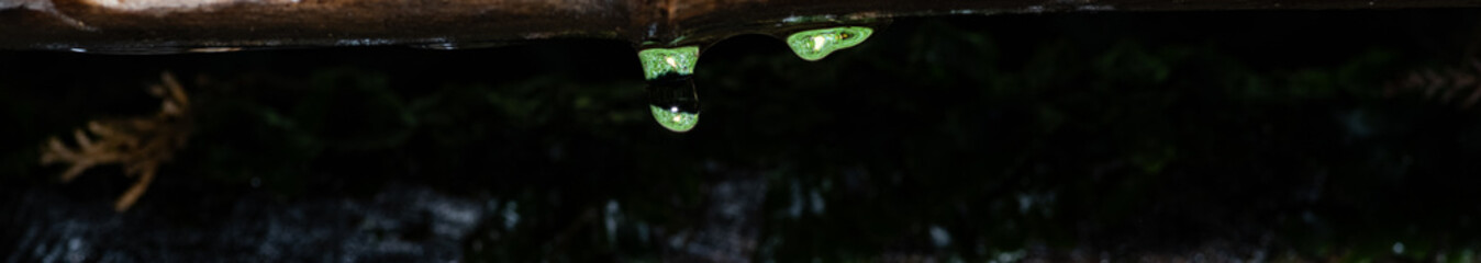 緑色に輝く美しい水滴	