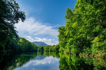 新緑の鎌池（小谷村）