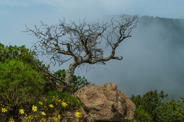 Historical places of saudia , heritage buildings 