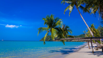 The tropical  white sand beach with  Aqua waves and coconut palm tree as shadow on blue background.