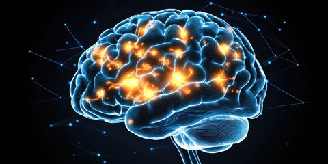 A close-up of a brain scan with highlighted areas representing brain activity and capacity.