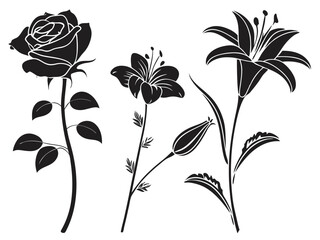 black flower pattern with poppies