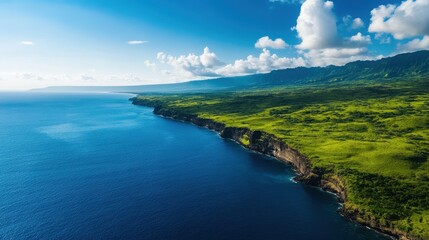 Obraz premium A stunning aerial view of a lush green coastline meeting a vibrant blue ocean under a bright sky with fluffy clouds.