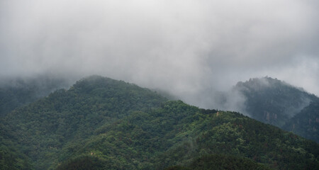 fog in the mountains