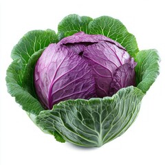 Cabbage Vegetable Close-up