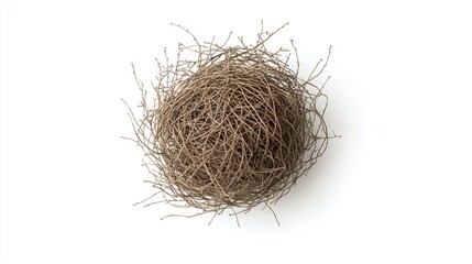Obraz premium Natural Bird Nest Made of Twigs and Branches Isolated on White Background, Symbolizing Home, Nature, and Wildlife in Minimalist Design Aesthetic