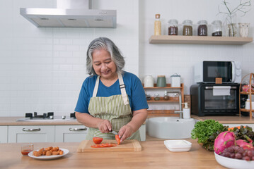 Asian senior woman preparing meal in her modern kitchen