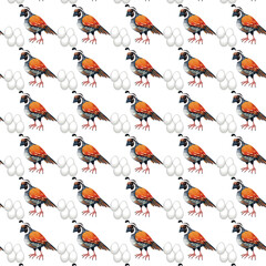 seamless pattern with birds