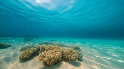 Shallow water with subtle sand patterns visible beneath the surface, offering a natural and clean design.