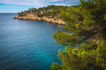 Admirable Calanque de Port Pin bay view, Cassis, Marseille, France