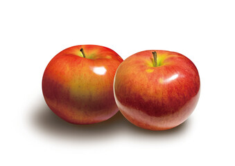 真っ赤な艶のある完熟りんご　影付きの白背景素材