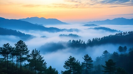 Fototapeta premium Misty Mountain Sunrise Landscape: A Serene View