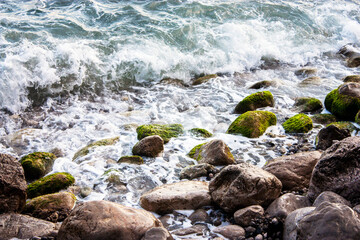 Surf on the sea on a sunny summer day. Green algae on the rocks in the surf zone. Seashore close-up.