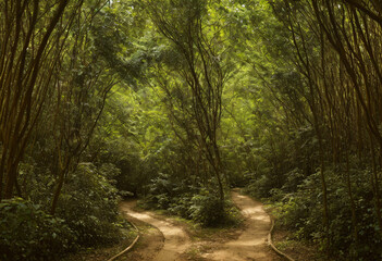 Obraz premium Ornate Product Display on Plain Background with Enchanting Forest Pathway Concept