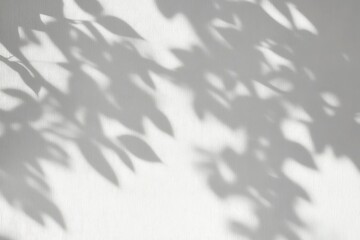 Obraz premium Artistic display of natural leaf shadows on a blank wall backdrop.