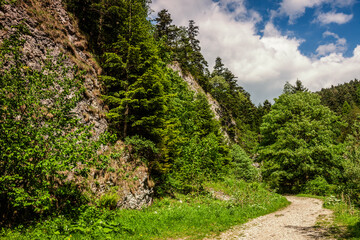 Pieniny. Wąwóz Szopczański. © Janusz Lipiński