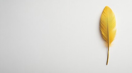 Golden phoenix feather glowing softly, set against a clean white background with space for text.