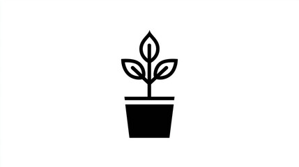 plant in a pot icon on white background