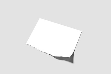 Blank Paper Flyer Mockup