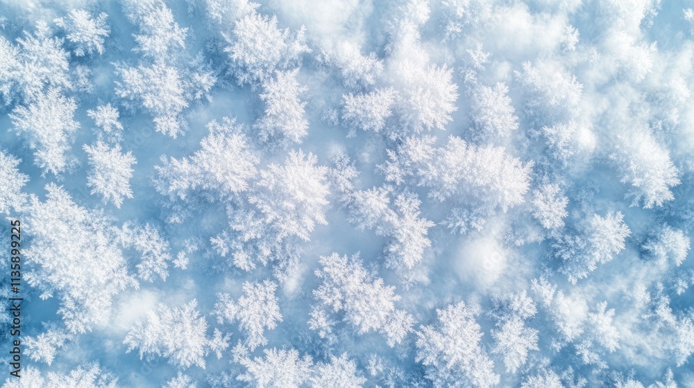 Poster aerial view of intricate snowflakes on a soft, white background.