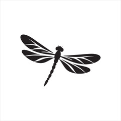 dragonfly isolated on white
