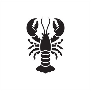 crayfish illustration