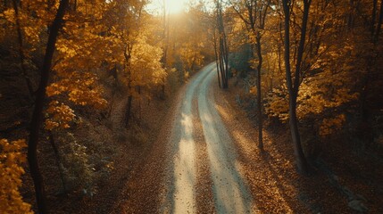 Naklejka premium Aerial view of a winding road through an autumn forest with golden leaves and sunlight.