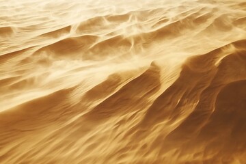 dynamic texture of sand being blown by wind with small ridges forming across surface