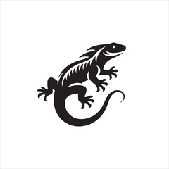 Fototapeta premium black and white dragon