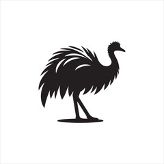 black and white bird