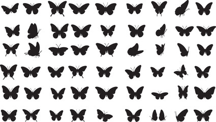 Vector Butterfly Silhouette
