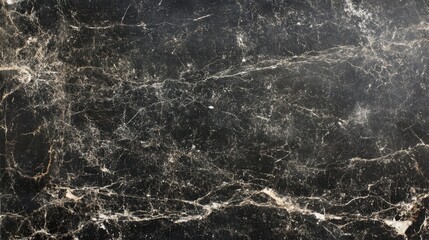 Obraz premium Elegant Black Marble Texture with White Veins for Modern Designs