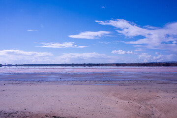 Larnaca, Salt Lake, flamingos, mosque, Hala Sultan Tekke, Cyprus, birds, water, nature, migratory, wildlife, serenity, reflection, Larnaca Salt Lake, historical, sanctuary, wetland, cultural, seascape