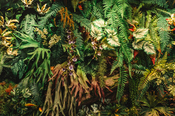 Close up group of background green leaves texture and Abstract Nature Background. Lush Foliage Textures. Exotic Greenery and Botanical Patterns.