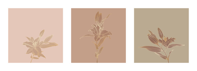 Fototapeta premium A set of frames of elegant stylized lily illustrations in gold outlines on beige, brown, and olive backgrounds. Perfect for wall art, home decor, textile prints, packaging design, digital applications