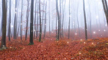 Obraz premium Glowing fireflies in autumn foggy forest landscape. 
